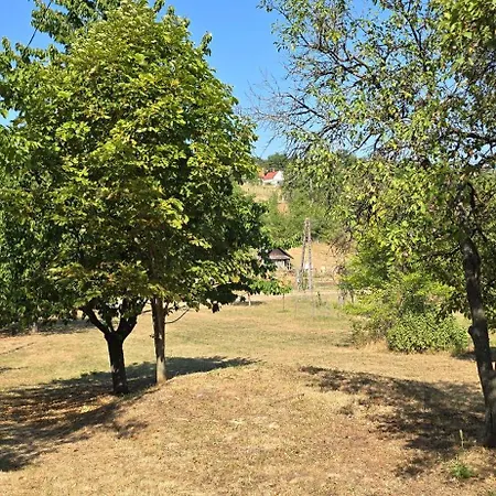 Lejtoliget Holiday home Zamardi